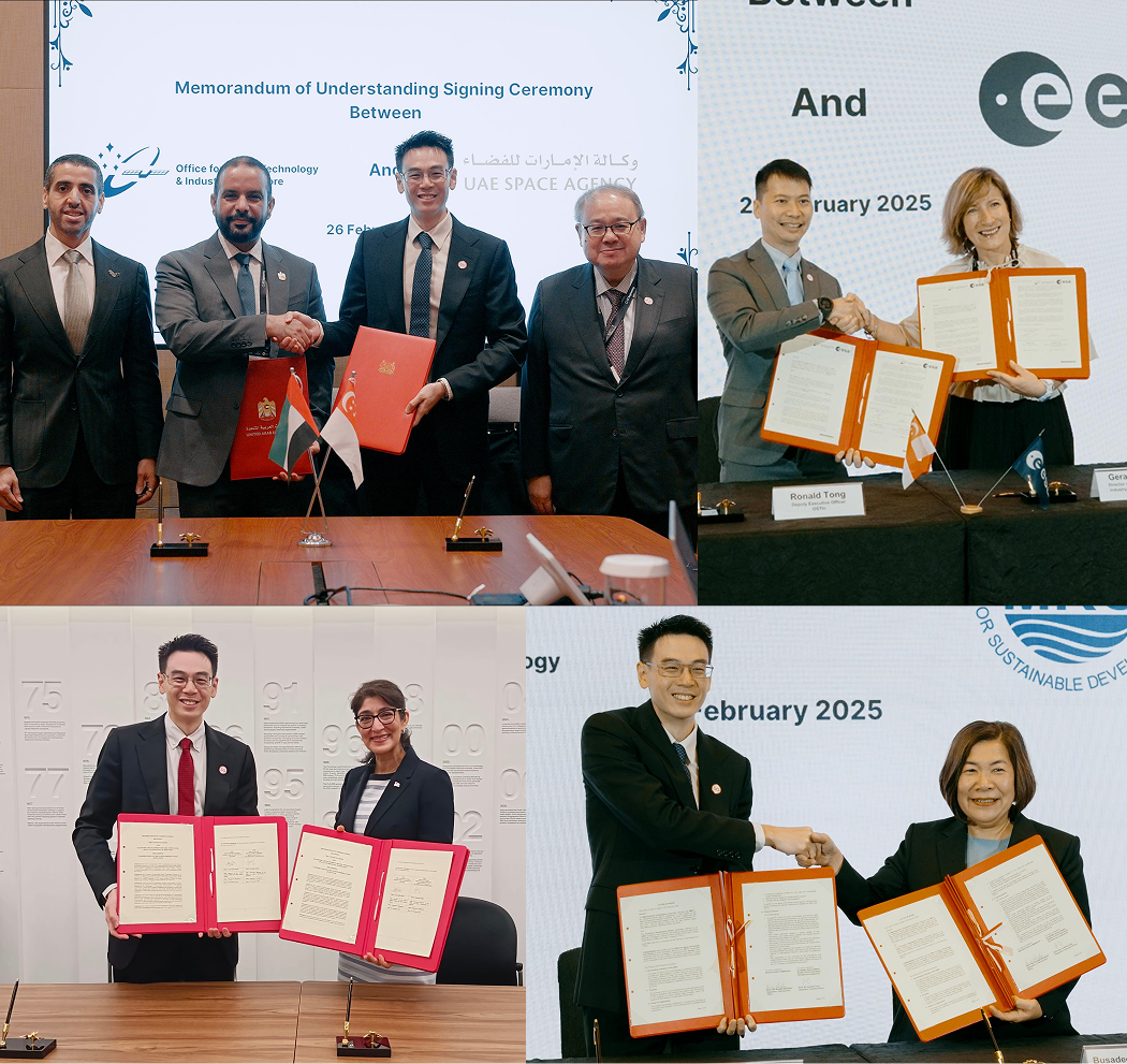International Partnerships